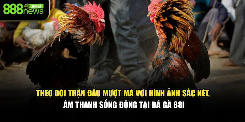Theo dõi trận đấu mượt mà với hình ảnh sắc nét, âm thanh sống động tại đá gà 88I